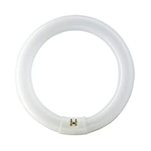 Circolina 32W Luce Fredda